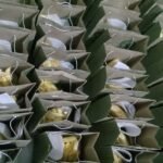 WhatsApp Image 2023-10-19 at 09.35.24 (1)