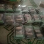 WhatsApp Image 2023-10-17 at 11.57.08